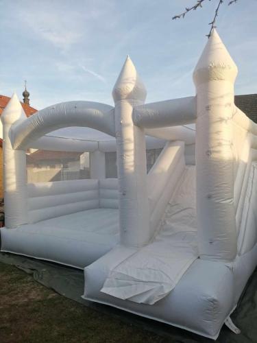 434347586 990761515989475 1876219046219438248 n